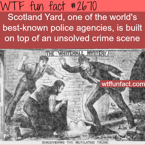tumblr_n7p4bbbSAa1roqv59o1_500.png