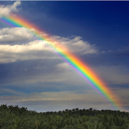 rainbow.jpg