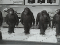 d4pymro1lvj6.gif