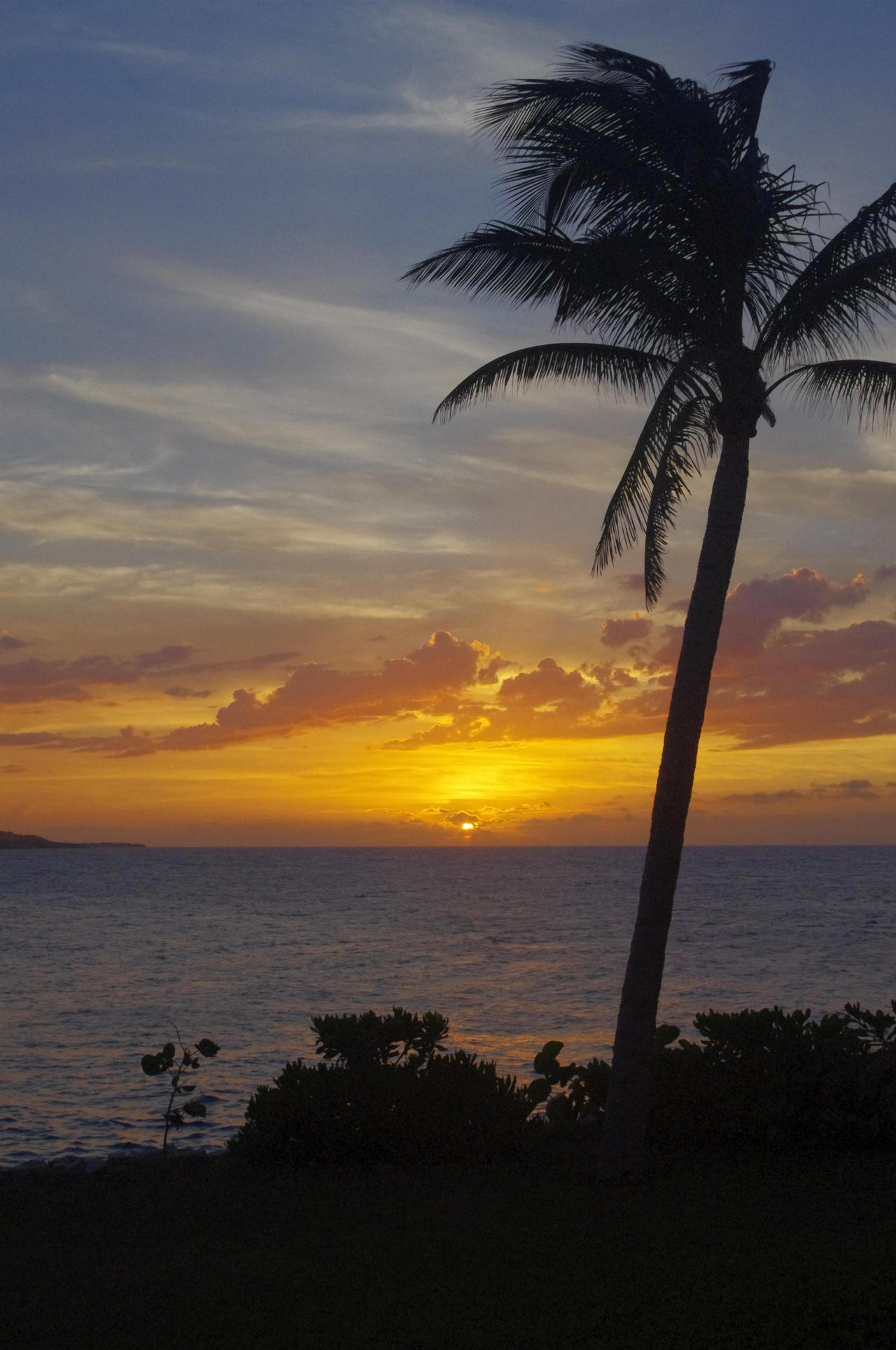 Jamaica_32_by_howardtj43147.jpg