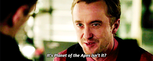 tumblr_ol4h37F31F1t2sh34o1_500.gif