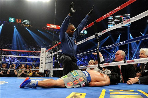 1358389106_knocked-out.jpg
