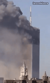tumblr_mszcu6qNpY1s02vreo1_250.gif