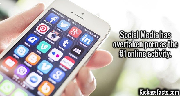 2059-Social-Media.jpg