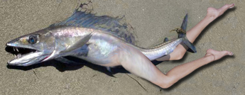 LE-mouching-fly-fishing-fish-with-legs.jpg