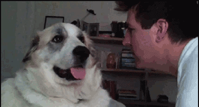 ylj7o7huc7gj.gif