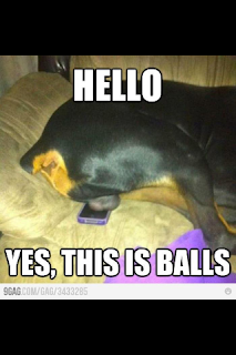 securedownload.png