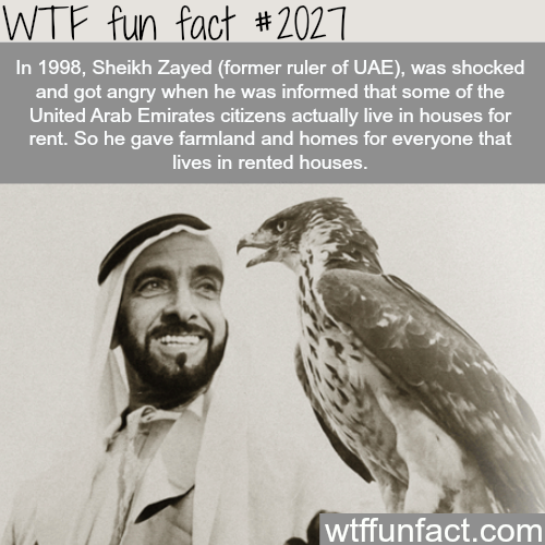 tumblr_mwfat05OlI1roqv59o1_500.png