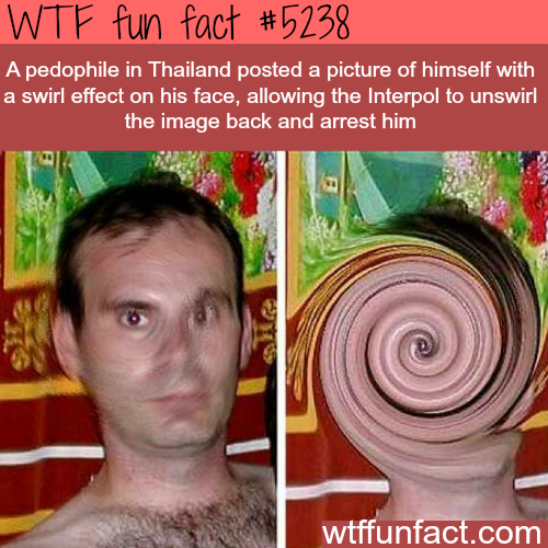 tumblr_o2b90lxHnA1roqv59o1_500.png