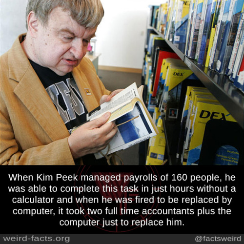 tumblr_nk64cgdJBu1szqwnwo2_r1_500.jpg