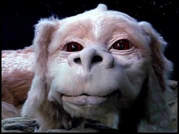 falkor.jpg