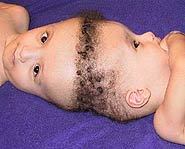a3343i0_Siamese-185.jpg