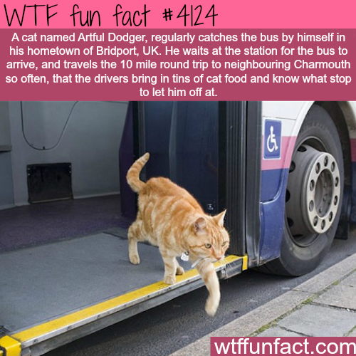 tumblr_npxv5nH4Ed1roqv59o1_500.png