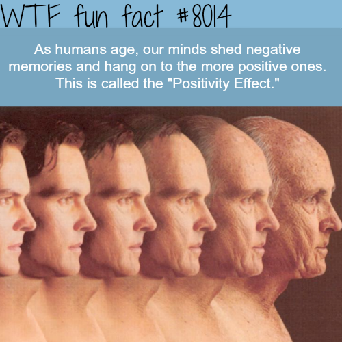 tumblr_oxivymVF7n1roqv59o1_500.png
