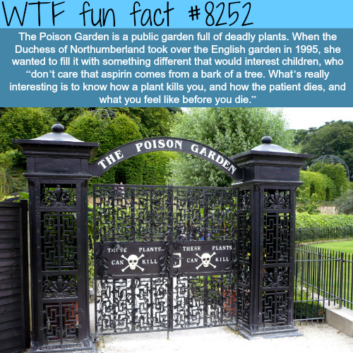tumblr_p16ir8oRaY1roqv59o1_500.png