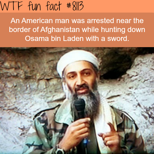 tumblr_oz4s1hQNWJ1roqv59o1_500.png