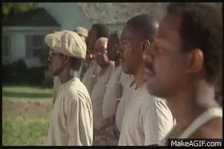 niqi9jns4tiq.gif