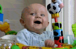 80g5g0tw1bub.gif