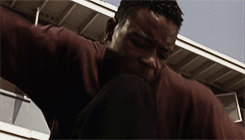 tumblr_mi6cvoWvpV1s2estro1_250.gif