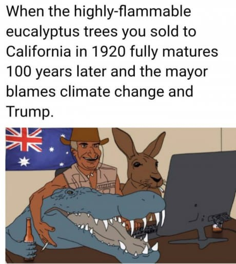 cn2rn4lwar8c.jpeg