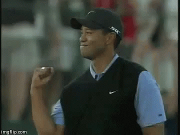 icko7sv13vtl.gif
