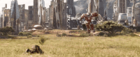 yevsb56spiru.gif