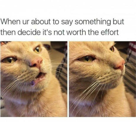 2na5oobsn44g.jpg