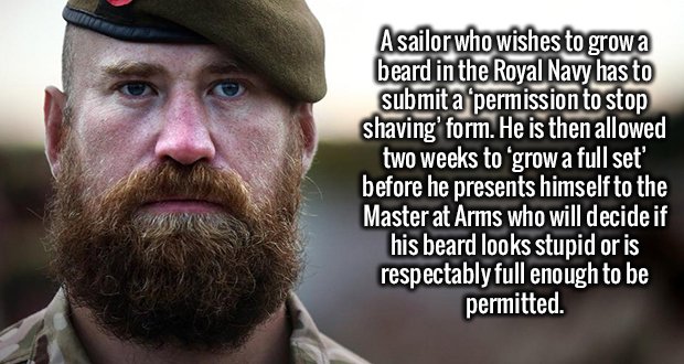 2239-Royal-Navy-Beard.jpg
