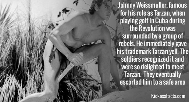 397Johnny-Weissmuller.jpg