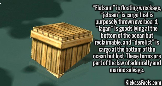2446-Flotsam.jpg