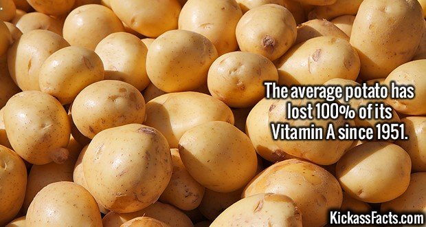 2566-Potatoes.jpg