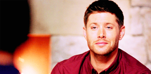 tumblr_n0iadbtM5u1sfm4vwo2_r1_500.gif