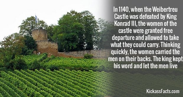 363WeibertreuCastle.jpg