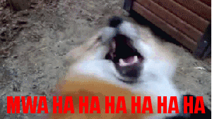 ovvlo4jq760o.gif
