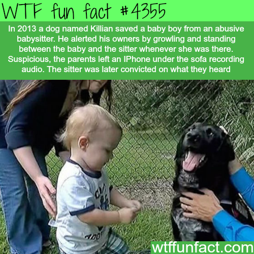 tumblr_nsbxjlcmu31roqv59o1_500.png