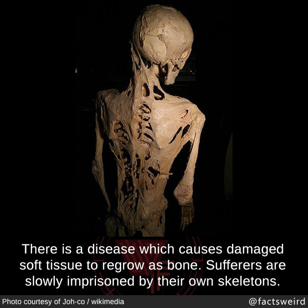 tumblr_oyyfpky28b1szqwnwo1_1280.jpg