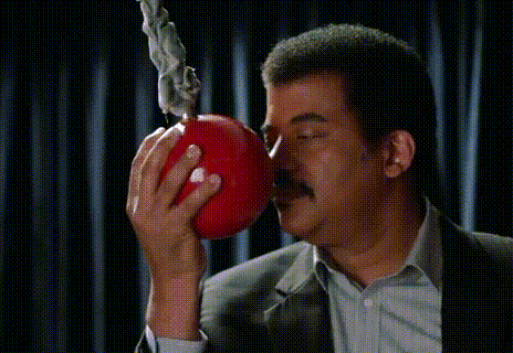 tumblr_n44wy3BHtx1qbh26io1_500.gif