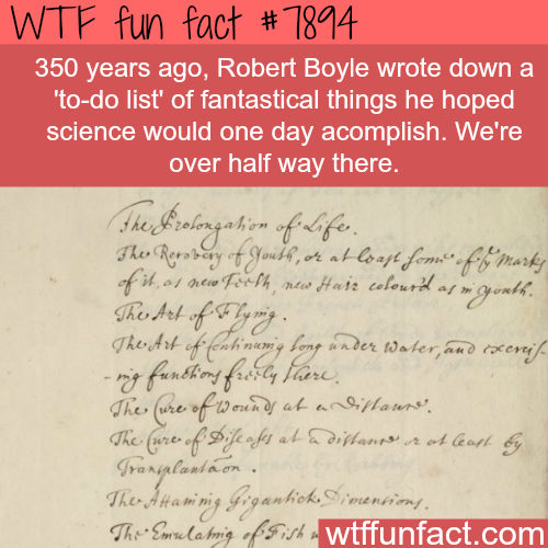 tumblr_ovmculH48f1roqv59o1_500.png