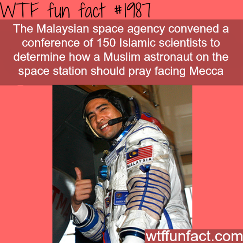 tumblr_mvpc13hDUa1roqv59o1_500.png