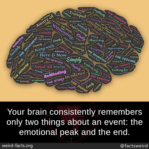 tumblr_ozxbpmAORK1szqwnwo1_1280.jpg