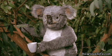 wvrwnwrnkz1b.gif