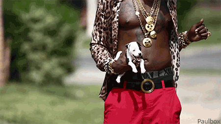 tumblr_mdzczycUST1qj4qpio2_500.gif