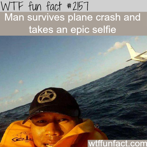 tumblr_mz9398TiwT1roqv59o1_500.png