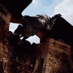 tenor.gif