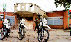 tumblr_od4l827kAg1qfsrsoo7_250.gif