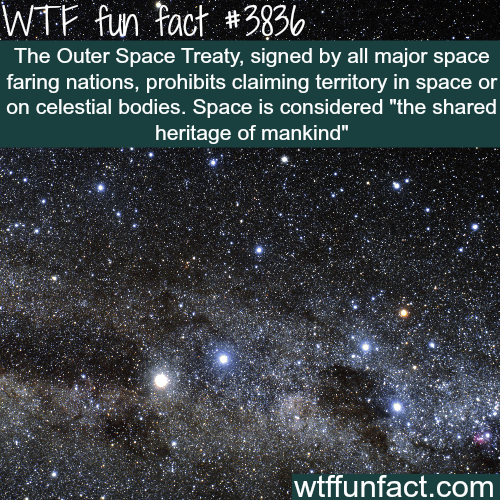 tumblr_nmo91a6O0P1roqv59o1_500.png