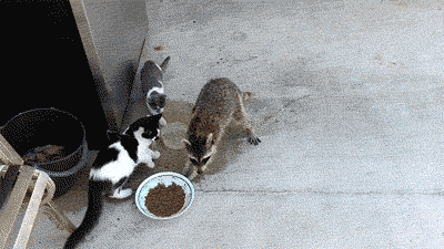 lip5kcflpll7.gif