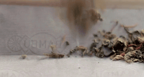 tumblr_m70tg7XJG21r0psrvo1_500.gif