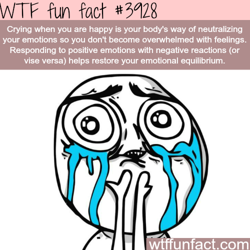 tumblr_nnq1rrgueW1roqv59o1_500.png