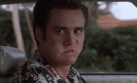 u6n8muvr0908.gif